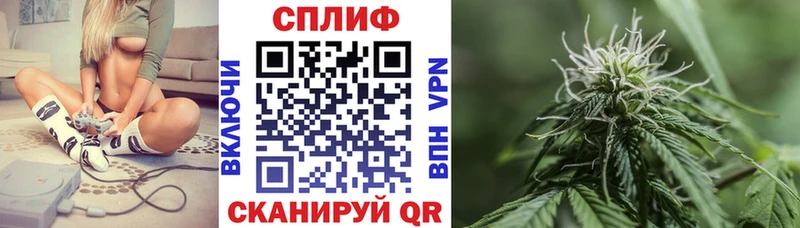 гидра   Подольск  Каннабис планчик 